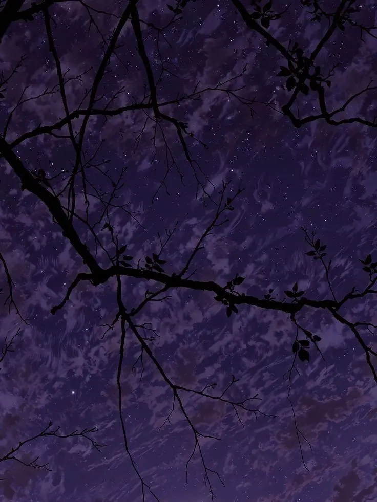 38_5.meow의 押し倒し。