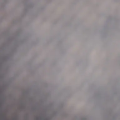 Profile image of 세봉틴