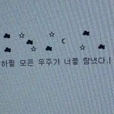 Profile image of 채스터