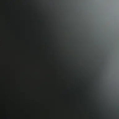 Profile image of 오프