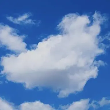Profile image of ボヒ