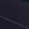 Profile image of 王耀