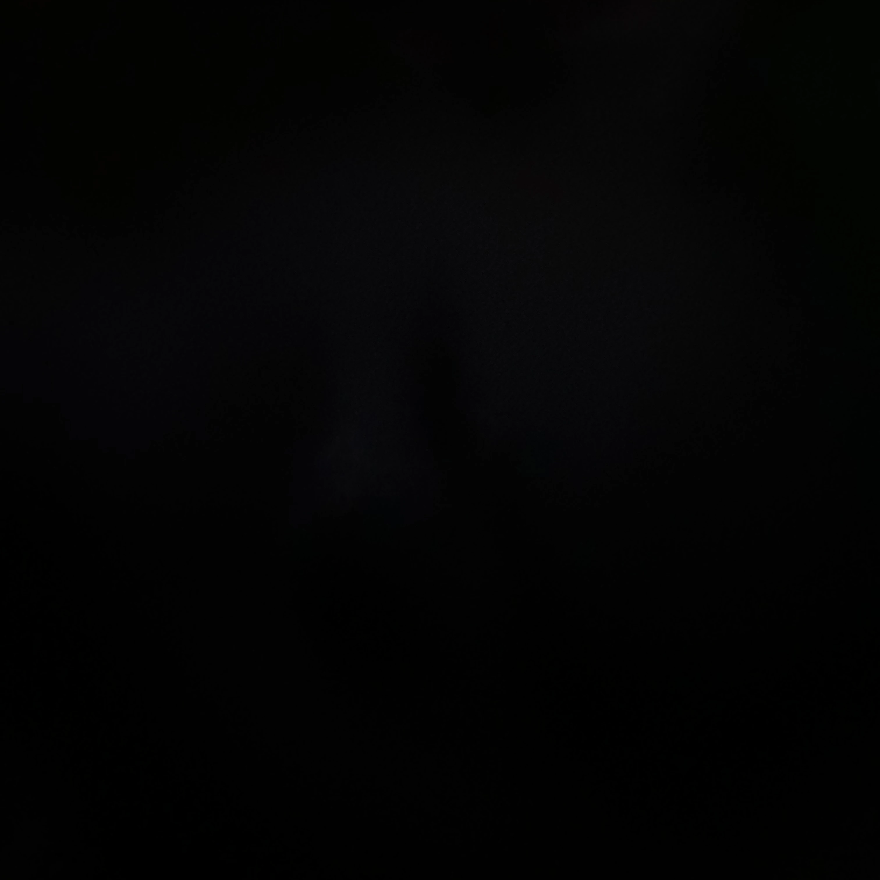 김동현