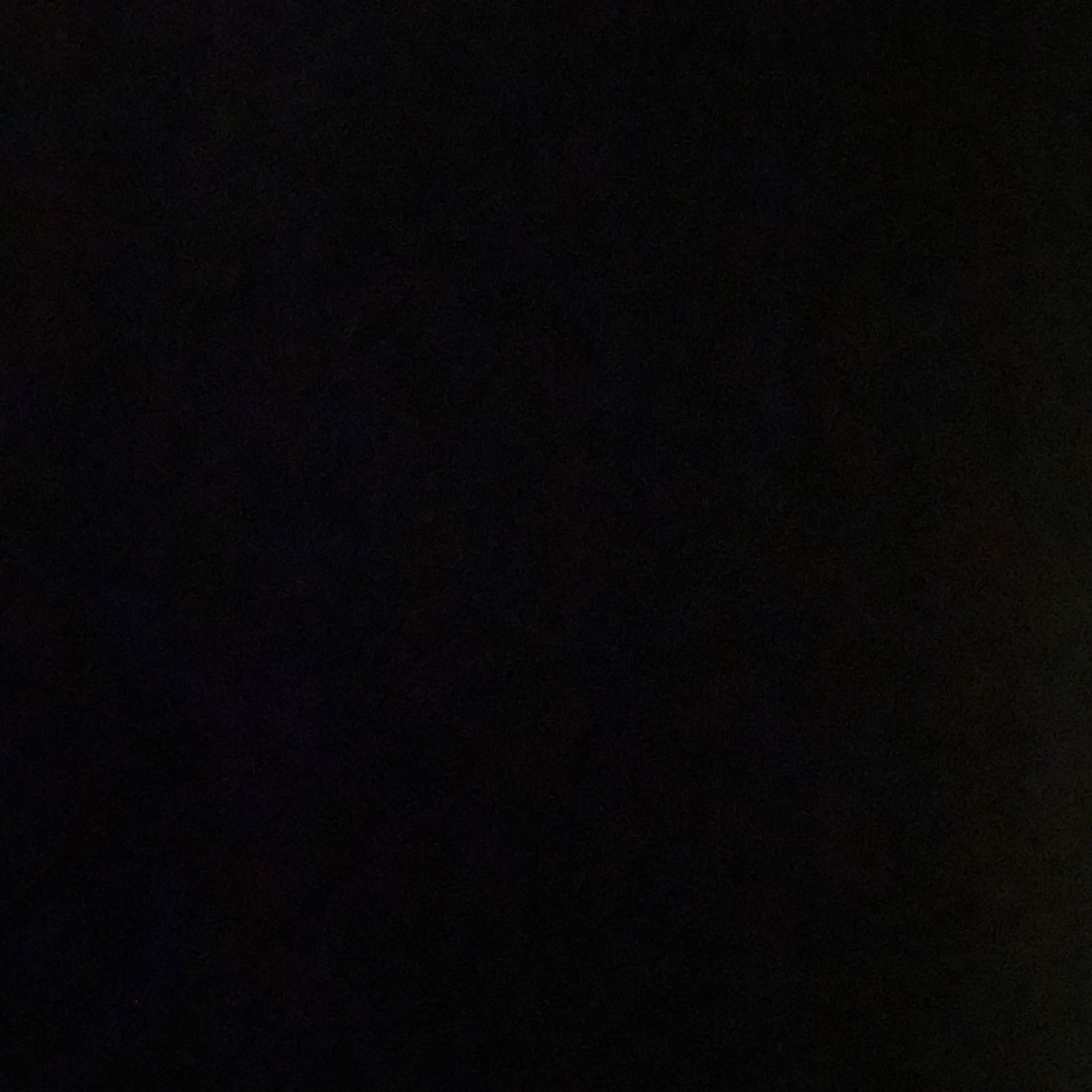 UntidyBee2035의 안건호