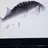 캐릭터 제작자