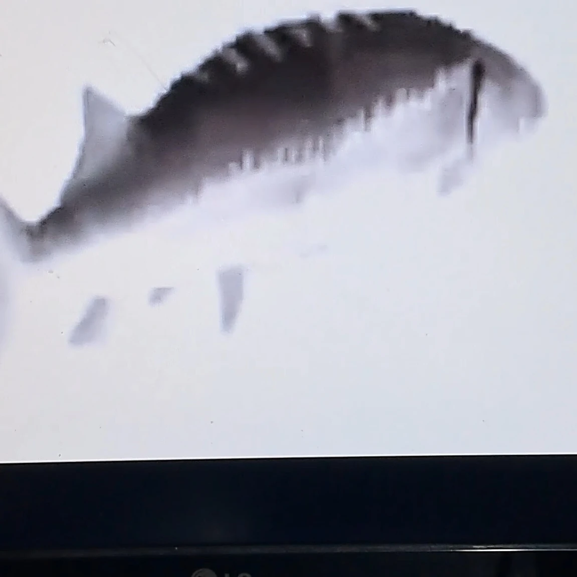 캐릭터 제작자