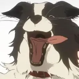 Profile image of 챠피