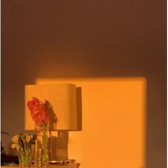 Profile image of 코마