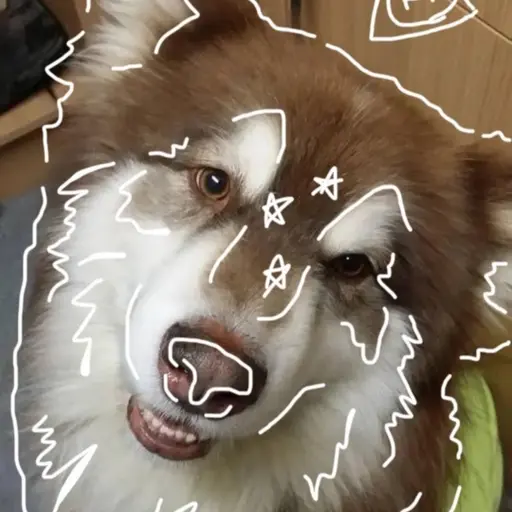 JADE4U의 ╶⃝⃤마루🐾✨