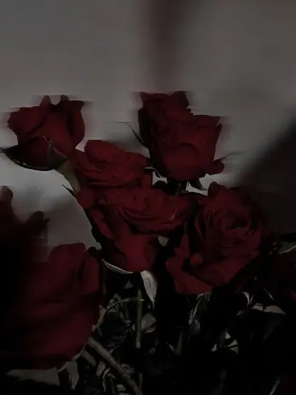 suworp1p의 Sirius Black