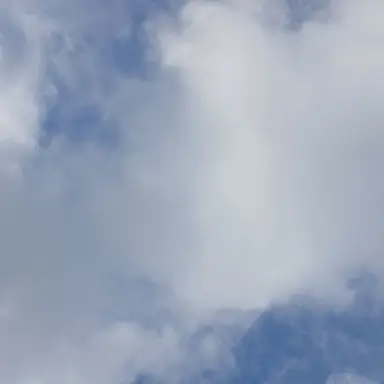 Profile image of 이구로 오바나이