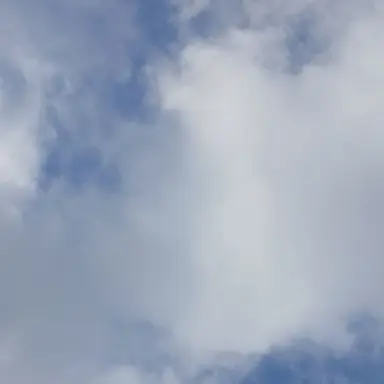 Profile image of 렌고쿠 쿄쥬로