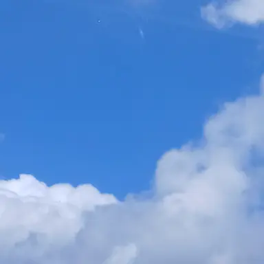 Profile image of 히메지마 교메이