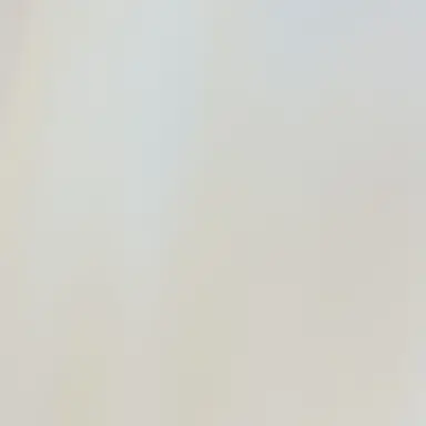 Profile image of 피디님