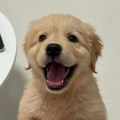 Profile image of 김승민