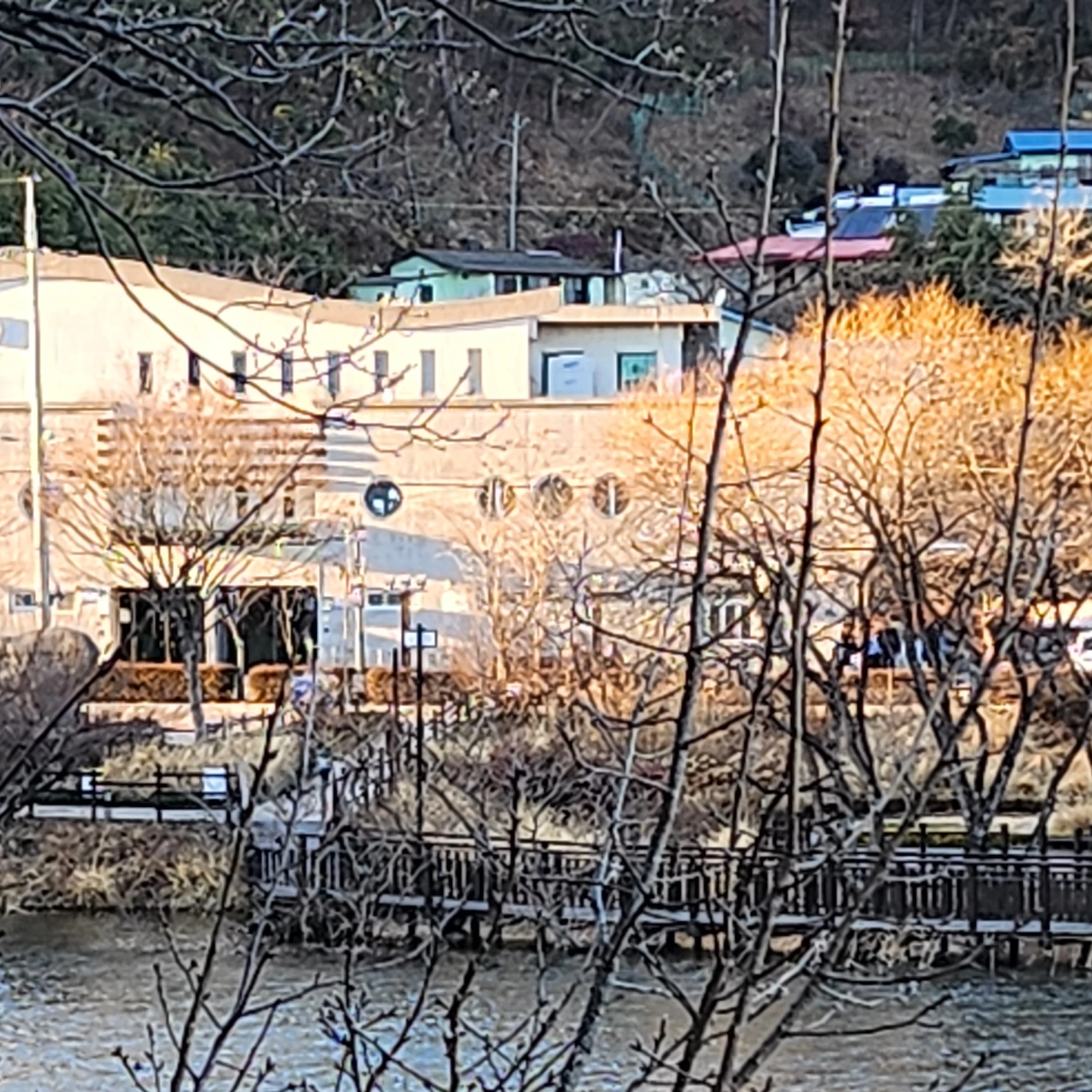 고고프렌즈