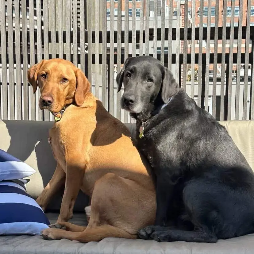 Tomisbest의 톰 펠튼