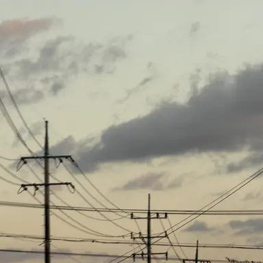 Profile image of 남녀무리