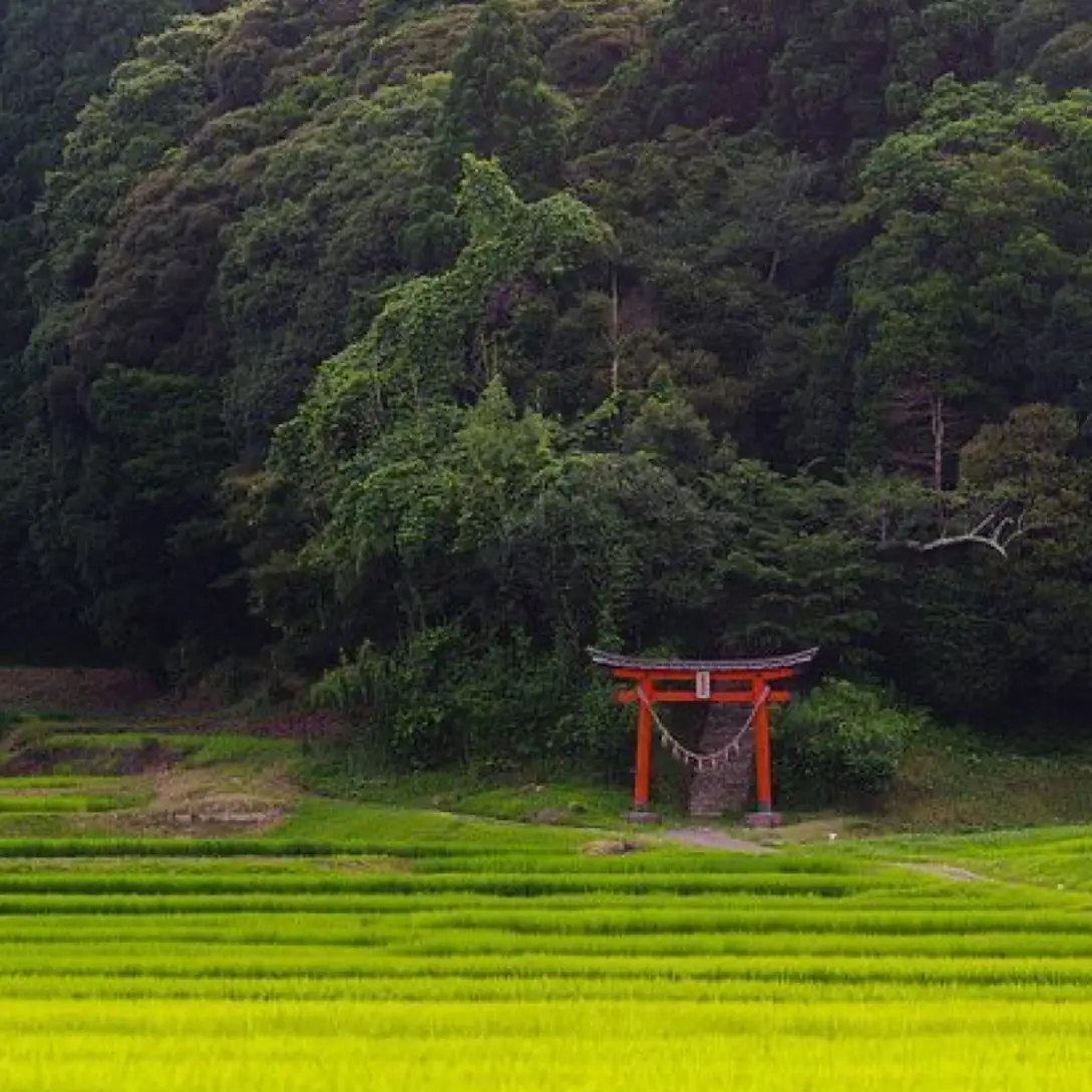 NoisyIbex5119의 田舎の村