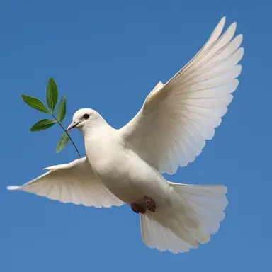 Profile image of 도브