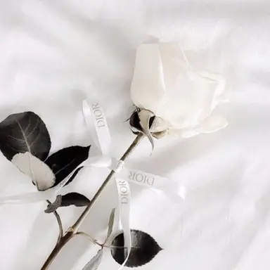 Profile image of 松村北斗