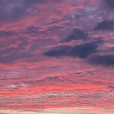 Profile image of 国木田独歩