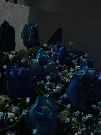 𝐟𝐢𝐯𝐞 대표 이미지