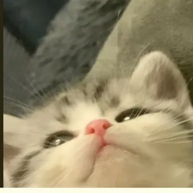 Profile image of 평학