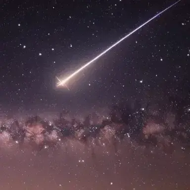 Profile image of Star Catcher