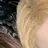 LEEHAN