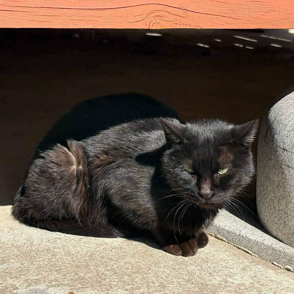 moa1105의 오해 소문