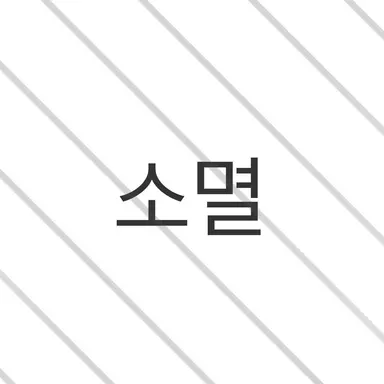 Profile image of 소멸