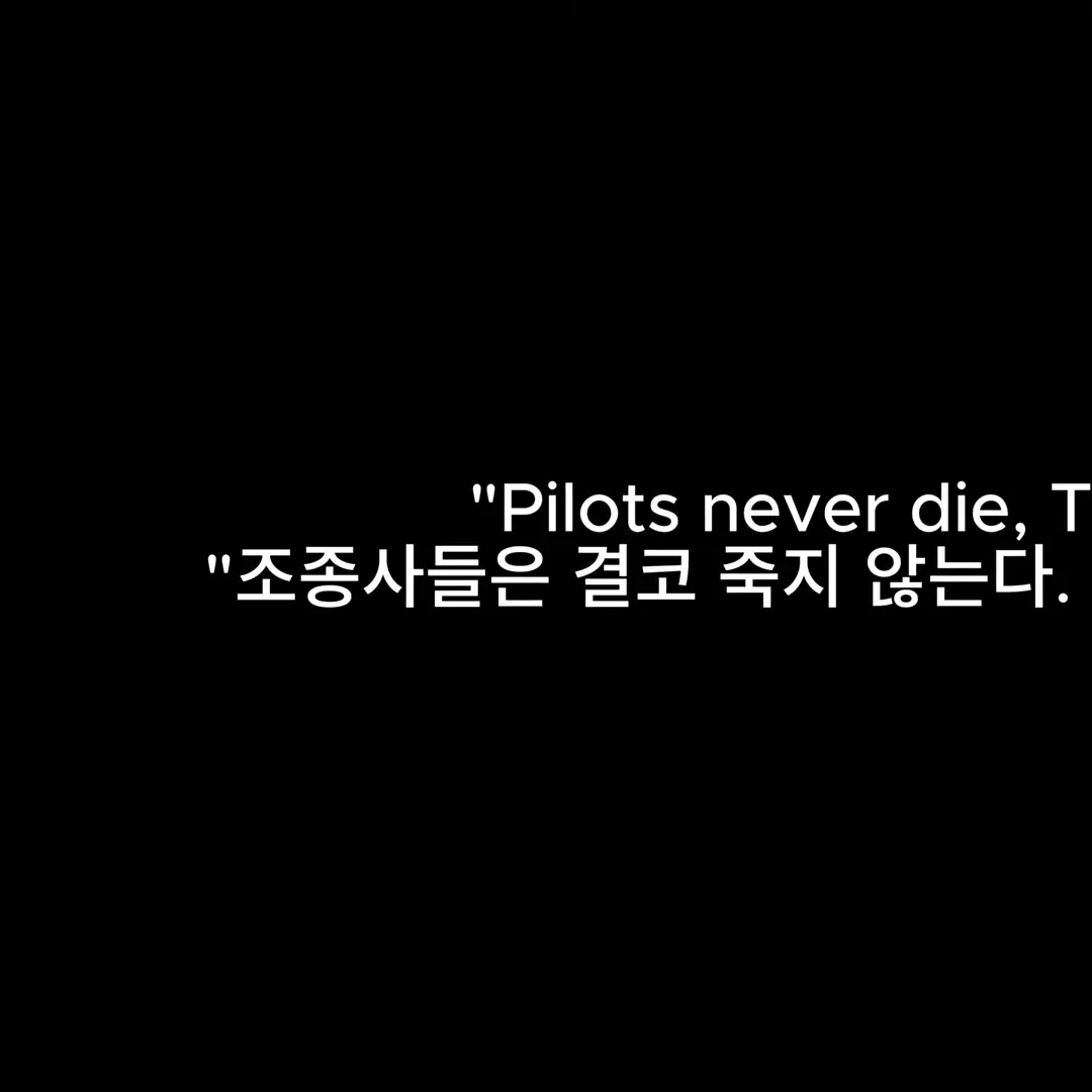 33311의 항공사고 들에서 살아남기