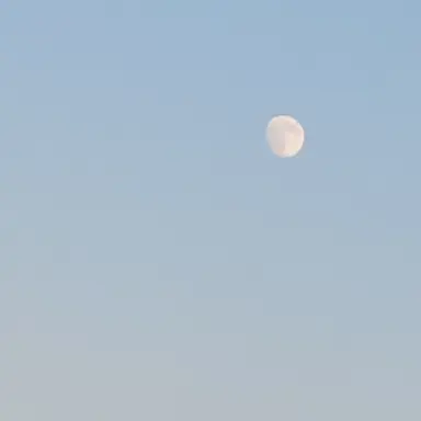 Profile image of 챗 리피티