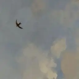 Profile image of 벤자민