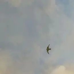 Profile image of 윌리엄