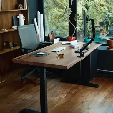 Profile image of 백지헌