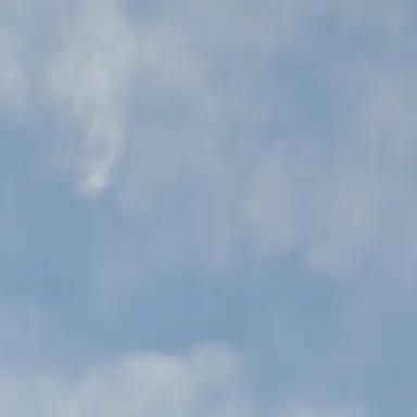 Profile image of 잠뜰
