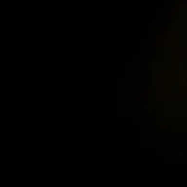 Profile image of -