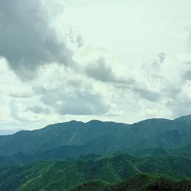 Profile image of 光司