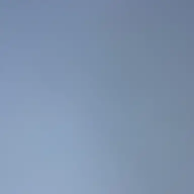 Profile image of 무림맹주