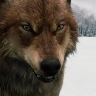 Profile image of Jacob Quileute