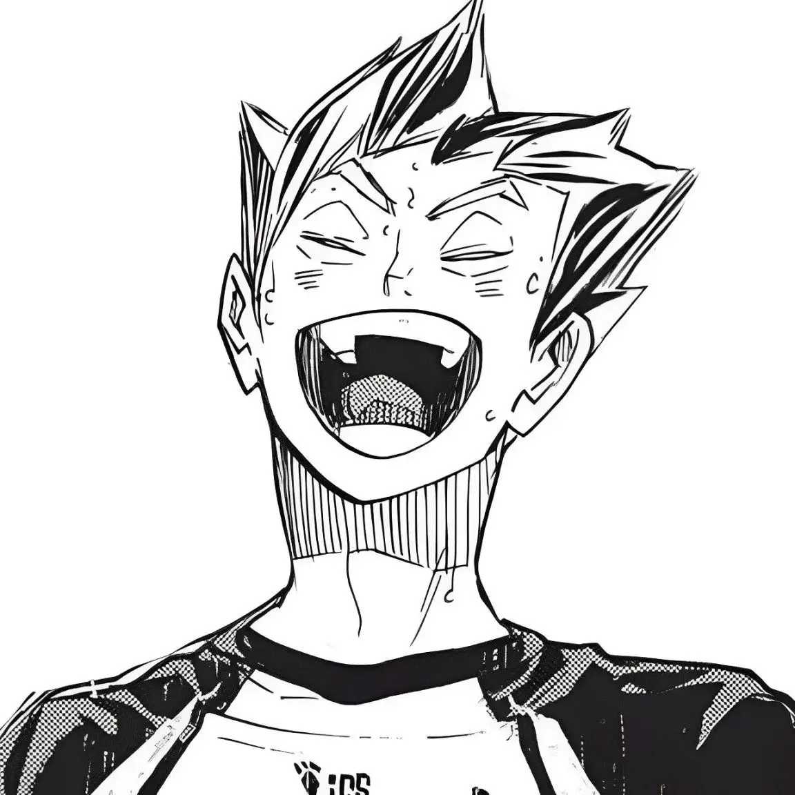 96.12_22의 木兎 光太郞