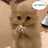 설이