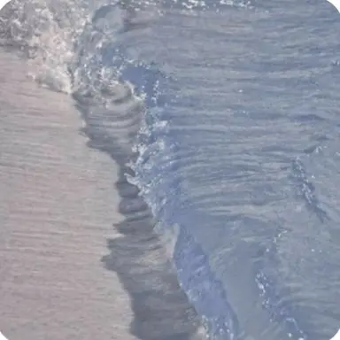 Profile image of 잠뜰