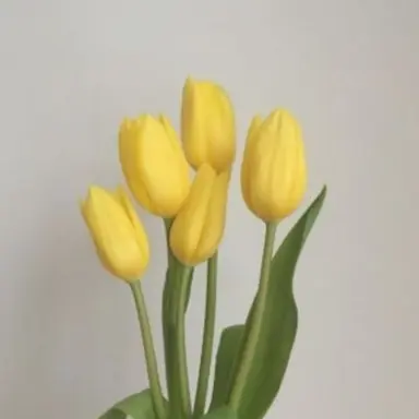 Profile image of 각별