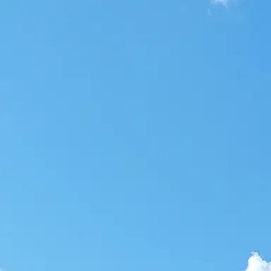 Profile image of 日帝とナチスとイタ王