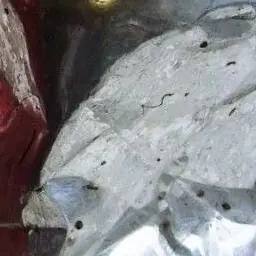 Profile image of 정수현