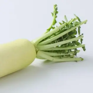 Profile image of ペッシ