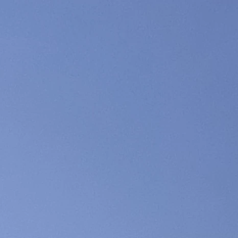 표예지